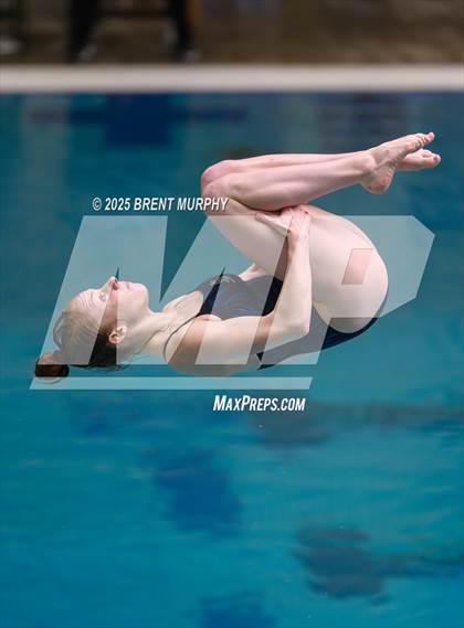 Thumbnail 2 in CHSAA 4A Dive Finals photogallery.