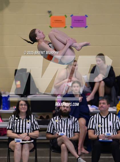 Thumbnail 1 in CHSAA 4A Dive Finals photogallery.