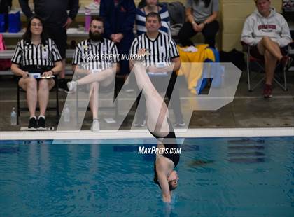 Thumbnail 1 in CHSAA 4A Dive Finals photogallery.