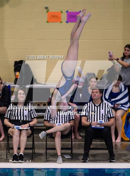 Thumbnail 2 in CHSAA 4A Dive Finals photogallery.