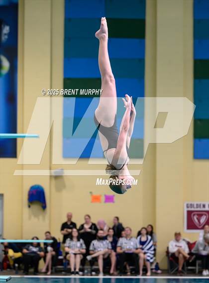 Thumbnail 2 in CHSAA 4A Dive Finals photogallery.