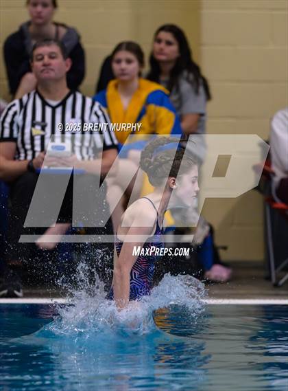 Thumbnail 3 in CHSAA 4A Dive Finals photogallery.