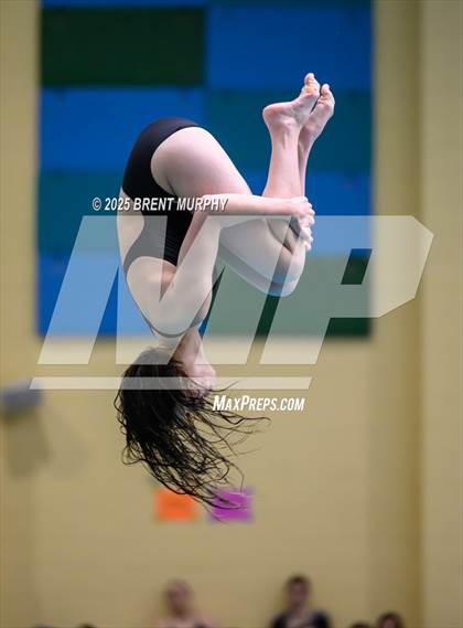 Thumbnail 1 in CHSAA 4A Dive Finals photogallery.