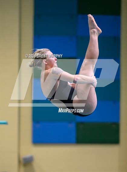 Thumbnail 2 in CHSAA 4A Dive Finals photogallery.
