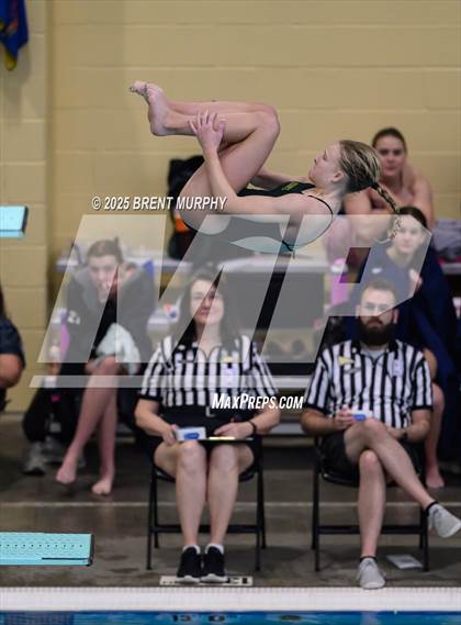 Thumbnail 1 in CHSAA 4A Dive Finals photogallery.