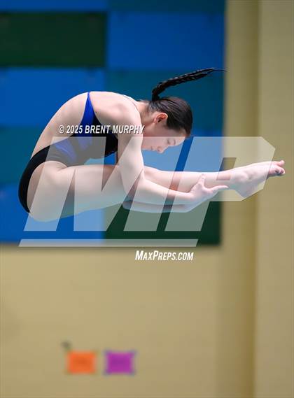 Thumbnail 3 in CHSAA 4A Dive Finals photogallery.