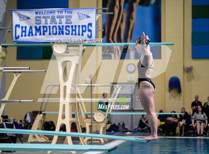 Thumbnail 3 in CHSAA 4A Dive Finals photogallery.