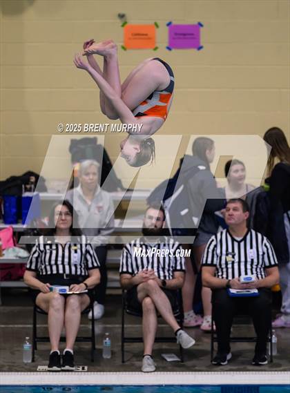 Thumbnail 2 in CHSAA 4A Dive Finals photogallery.