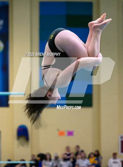 Thumbnail 3 in CHSAA 4A Dive Finals photogallery.