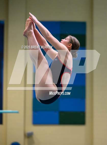 Thumbnail 1 in CHSAA 4A Dive Finals photogallery.