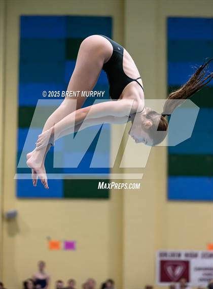 Thumbnail 3 in CHSAA 4A Dive Finals photogallery.