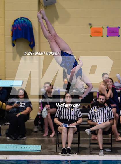 Thumbnail 3 in CHSAA 4A Dive Finals photogallery.