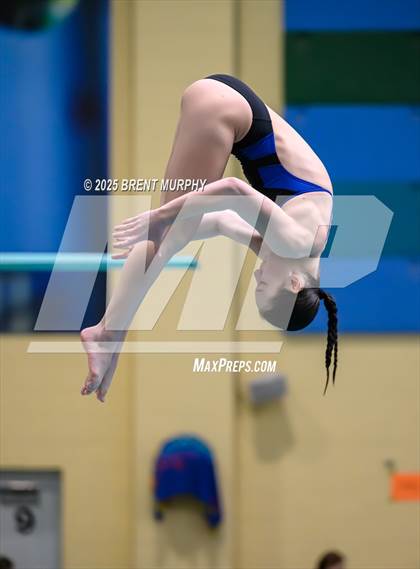 Thumbnail 3 in CHSAA 4A Dive Finals photogallery.