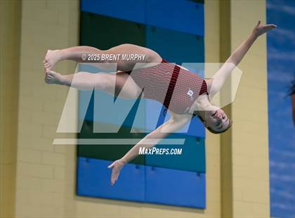 Thumbnail 1 in CHSAA 4A Dive Finals photogallery.
