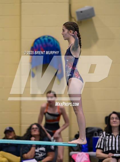 Thumbnail 3 in CHSAA 4A Dive Finals photogallery.