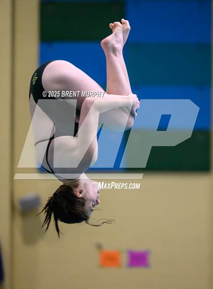 Thumbnail 1 in CHSAA 4A Dive Finals photogallery.