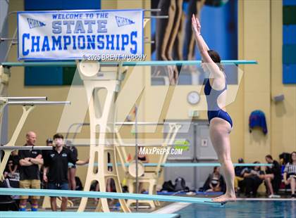 Thumbnail 3 in CHSAA 4A Dive Finals photogallery.