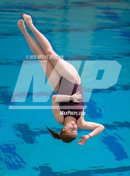 Thumbnail 2 in CHSAA 4A Dive Finals photogallery.