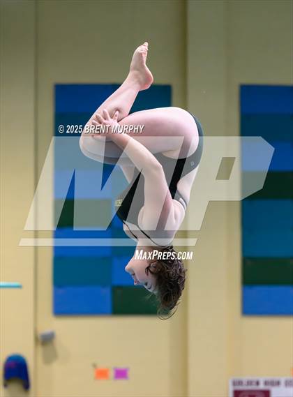 Thumbnail 1 in CHSAA 4A Dive Finals photogallery.