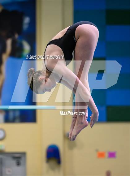 Thumbnail 2 in CHSAA 4A Dive Finals photogallery.