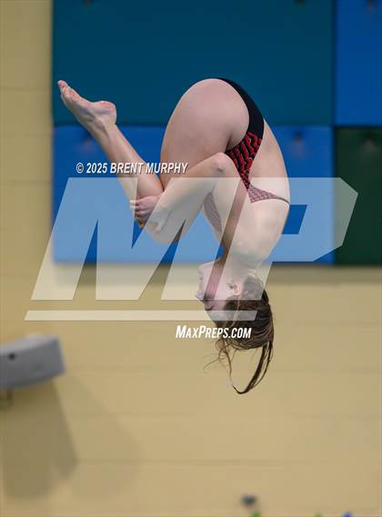 Thumbnail 3 in CHSAA 4A Dive Finals photogallery.