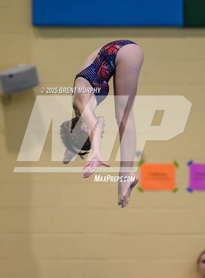 Thumbnail 1 in CHSAA 4A Dive Finals photogallery.