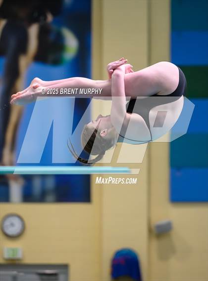 Thumbnail 3 in CHSAA 4A Dive Finals photogallery.