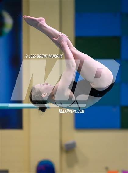 Thumbnail 1 in CHSAA 4A Dive Finals photogallery.