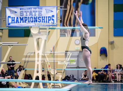 Thumbnail 3 in CHSAA 4A Dive Finals photogallery.