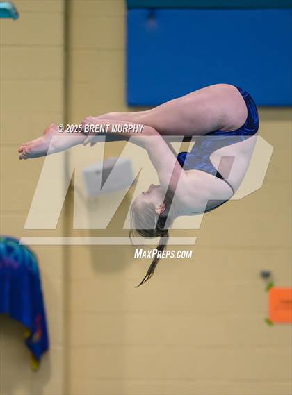 Thumbnail 1 in CHSAA 4A Dive Finals photogallery.