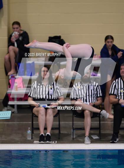 Thumbnail 1 in CHSAA 4A Dive Finals photogallery.