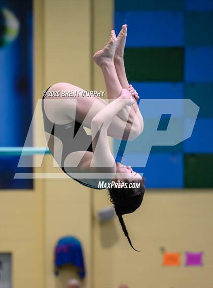 Thumbnail 2 in CHSAA 4A Dive Finals photogallery.