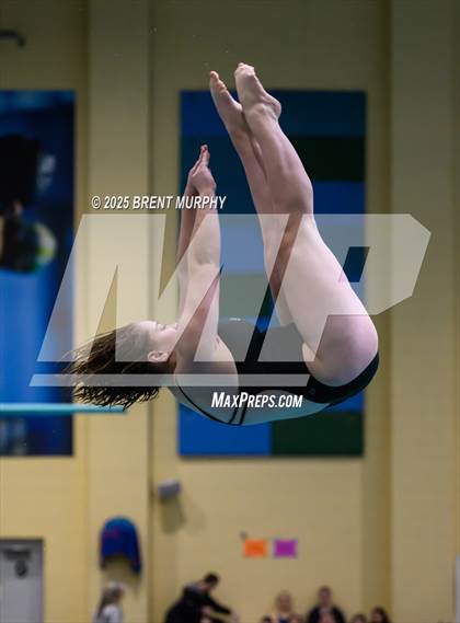 Thumbnail 3 in CHSAA 4A Dive Finals photogallery.