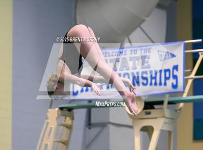 Thumbnail 3 in CHSAA 4A Dive Finals photogallery.