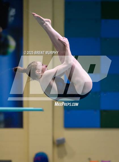 Thumbnail 2 in CHSAA 4A Dive Finals photogallery.