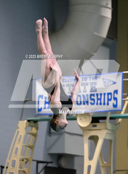 Thumbnail 3 in CHSAA 4A Dive Finals photogallery.