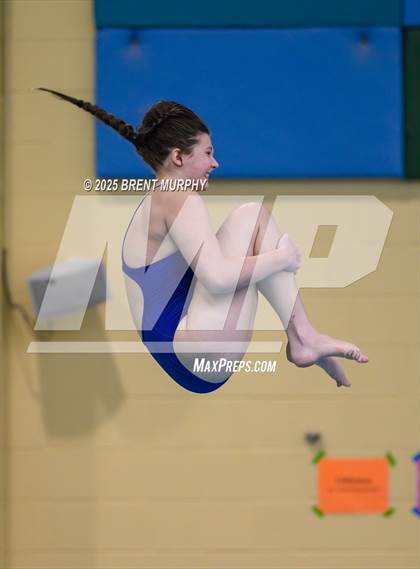 Thumbnail 1 in CHSAA 4A Dive Finals photogallery.
