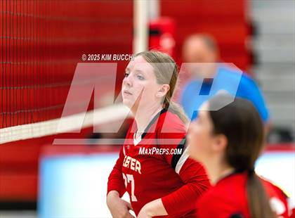 Thumbnail 3 in Pocahontas County @ Webster County photogallery.