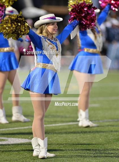 Thumbnail 1 in Boerne-Champion @ Tivy photogallery.