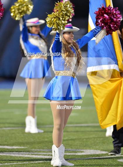 Thumbnail 1 in Boerne-Champion @ Tivy photogallery.