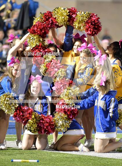 Thumbnail 3 in Boerne-Champion @ Tivy photogallery.