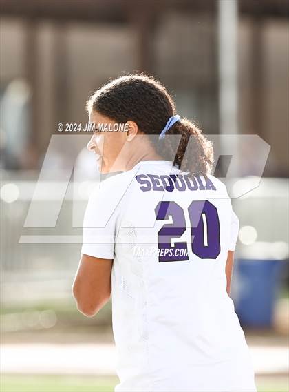 Thumbnail 1 in  Sequoia @ Saint Francis (CIF CCS D1 Semifinal) photogallery.
