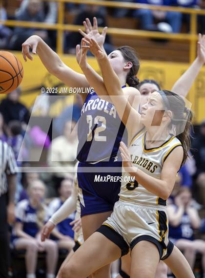 Thumbnail 2 in Arcola vs. Tuscola (IHSA 1A Regional Final) photogallery.