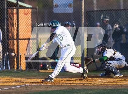 Thumbnail 2 in William Floyd @ Ward Melville photogallery.