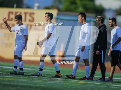 Thumbnail 1 in Firebaugh @ Crespi photogallery.
