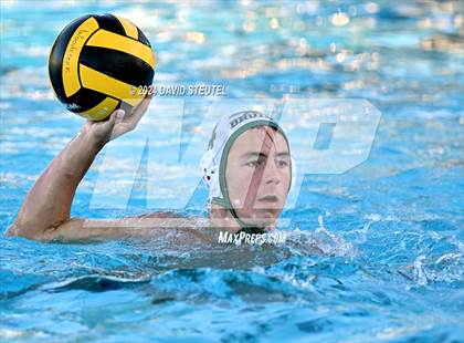 Thumbnail 1 in Rio Americano vs. Ponderosa photogallery.