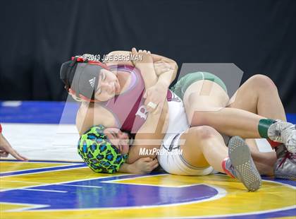 Thumbnail 2 in CIF State Girls Wrestling Championships (Consolation Round 2) photogallery.
