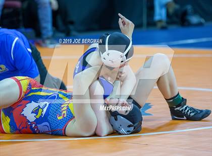 Thumbnail 1 in CIF State Girls Wrestling Championships (Consolation Round 2) photogallery.