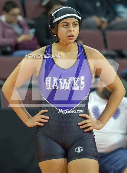 Thumbnail 3 in CIF State Girls Wrestling Championships (Consolation Round 2) photogallery.