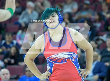 Thumbnail 1 in CIF State Girls Wrestling Championships (Consolation Round 2) photogallery.